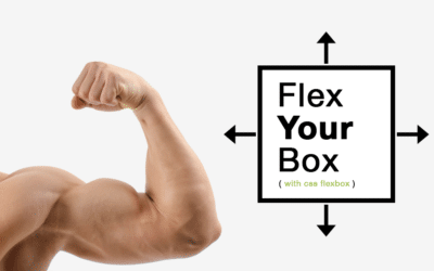 Flex Your Box